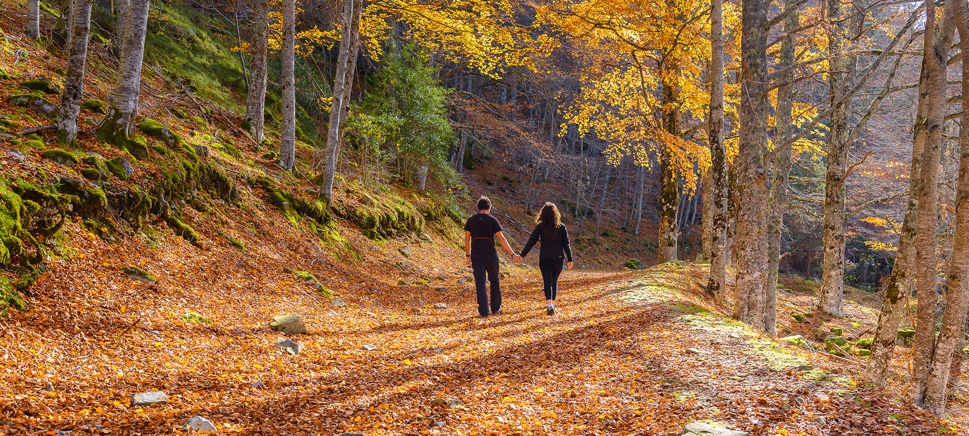 Ein Paar beim Spaziergang durch den Naturpark Sierra de Cebollera, La Rioja Ein Paar beim Spaziergang durch den Naturpark Sierra de Cebollera, La Rioja