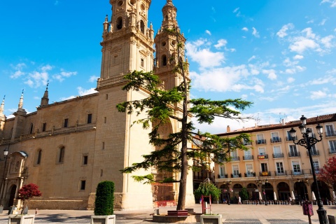 Konkatedra Santa Maria de La Redonda. Logroño