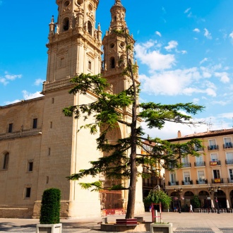 Konkatedra Santa Maria de La Redonda. Logroño