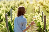 Une femme trinquant dans un vignoble de La Rioja