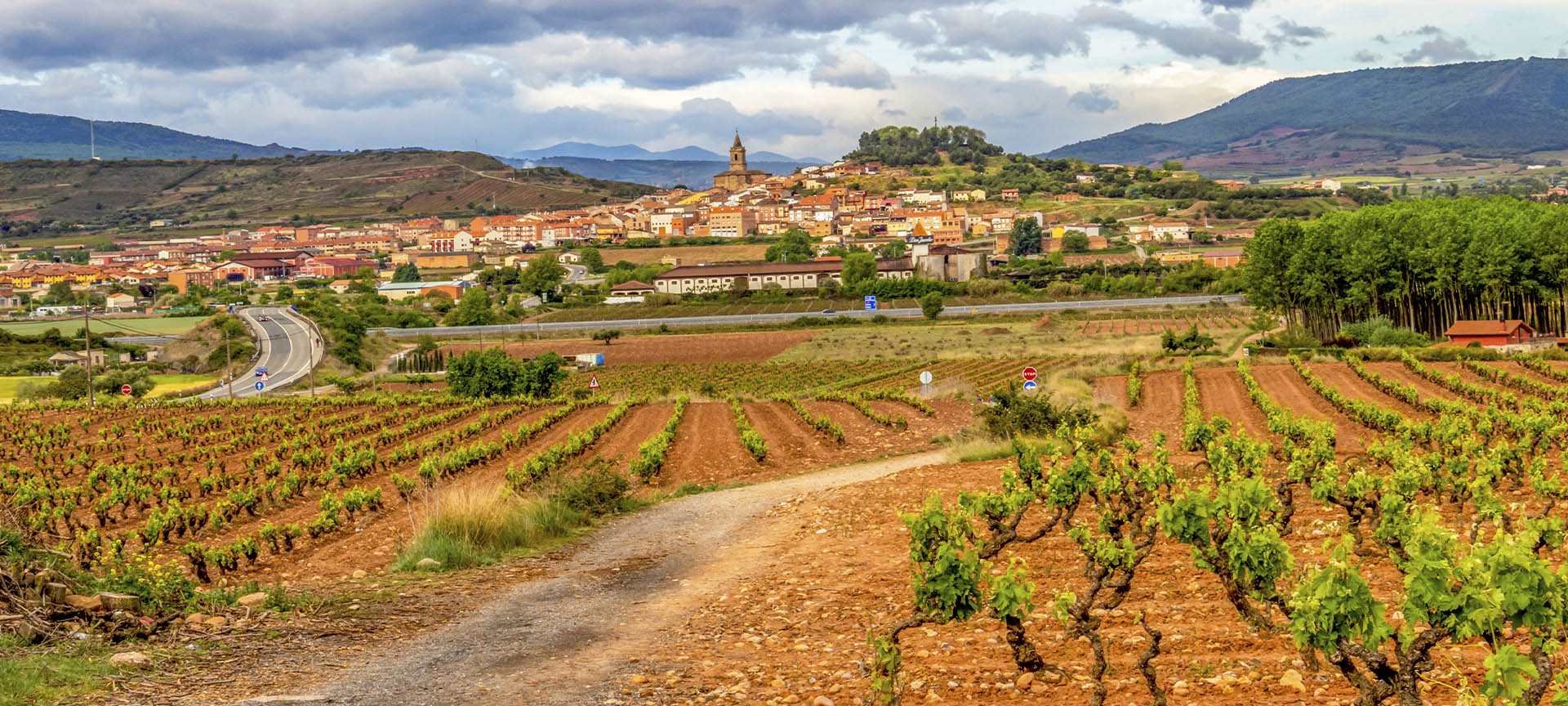 Panoramic view of Navarrete opposite vineyards in La Rioja