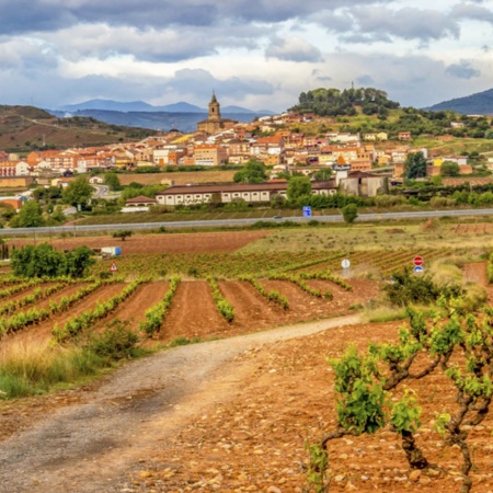Panorâmica de Navarrete em frente aos vinhedos em La Rioja