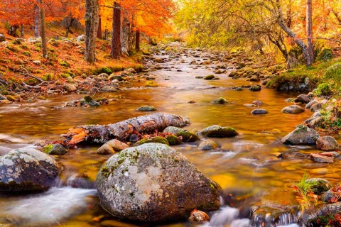 Parque Natural de Sierra Cebollera, La Rioja