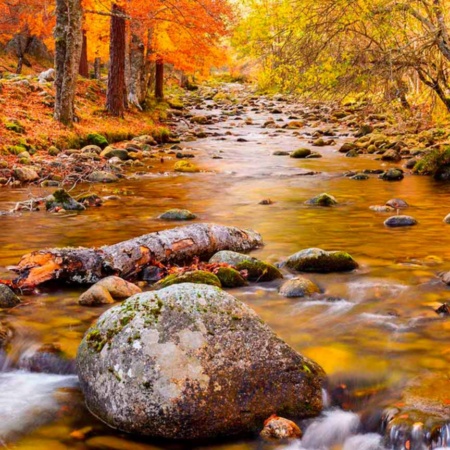 Sierra Cebollera Nature Reserve, La Rioja