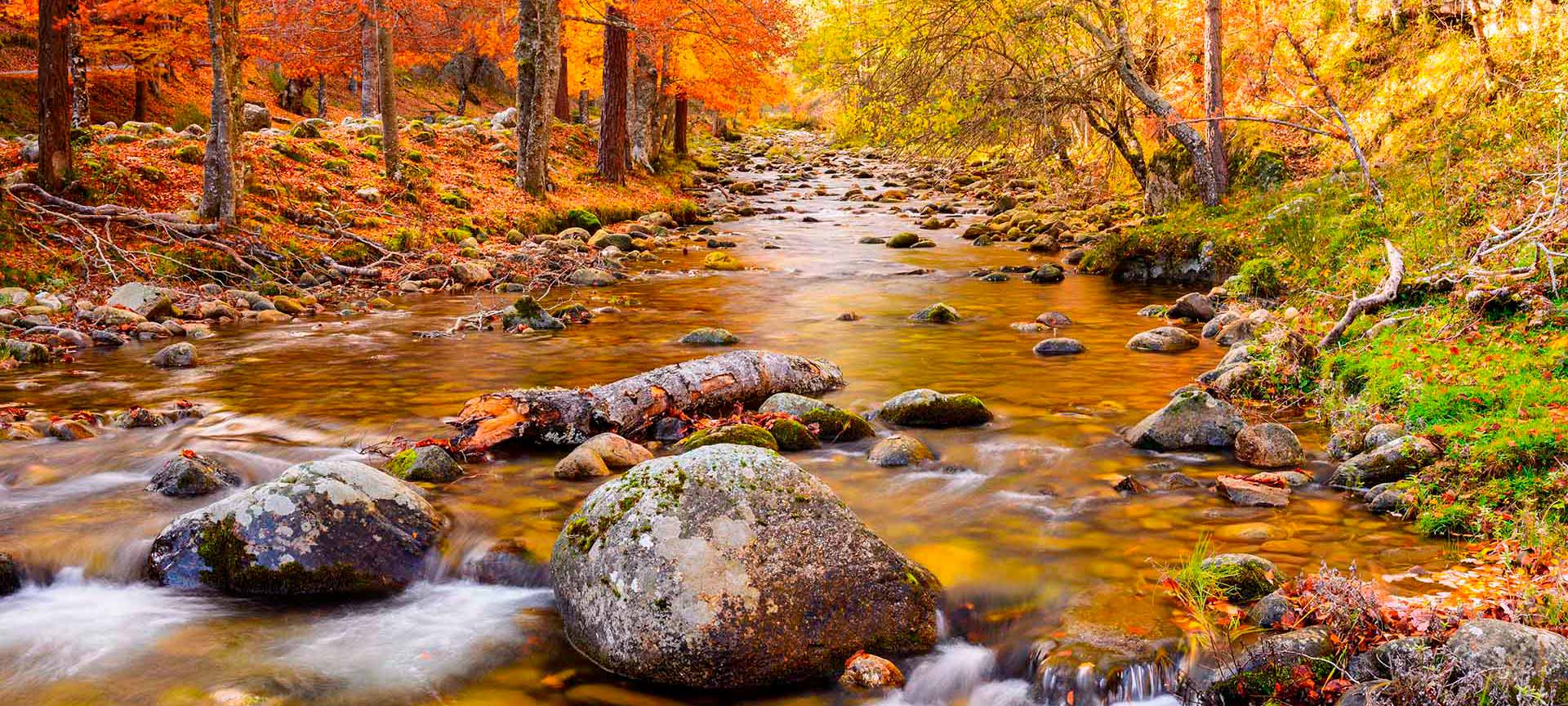 Naturpark Sierra Cebollera, La Rioja Naturpark Sierra Cebollera, La Rioja