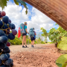 Group of pilgrims on St James Way in La Rioja