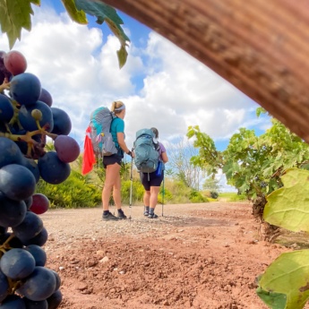 Grupa pielgrzymów na szlaku Camino de Santiago przechodząca przez La Rioja