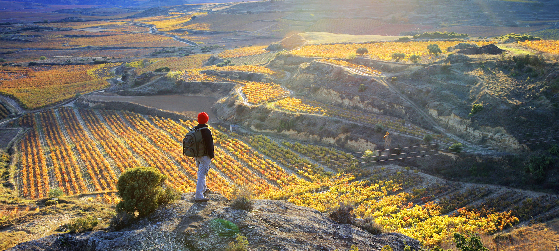 Turista contemplando os vinhedos de Sonsierra, em La Rioja Turista contemplando os vinhedos de Sonsierra, em La Rioja