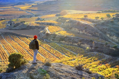 Turista contemplando os vinhedos de Sonsierra, em La Rioja