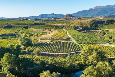 Blick auf die Weingärten in San Vicente de la Sonsierra, La Rioja