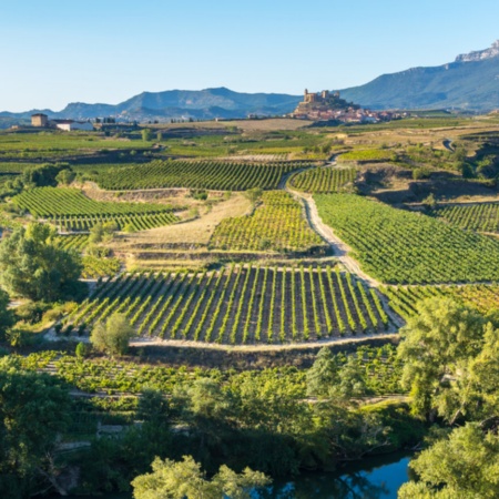 View of the vineyards of San Vicente de la Sonsierra, La Rioja.