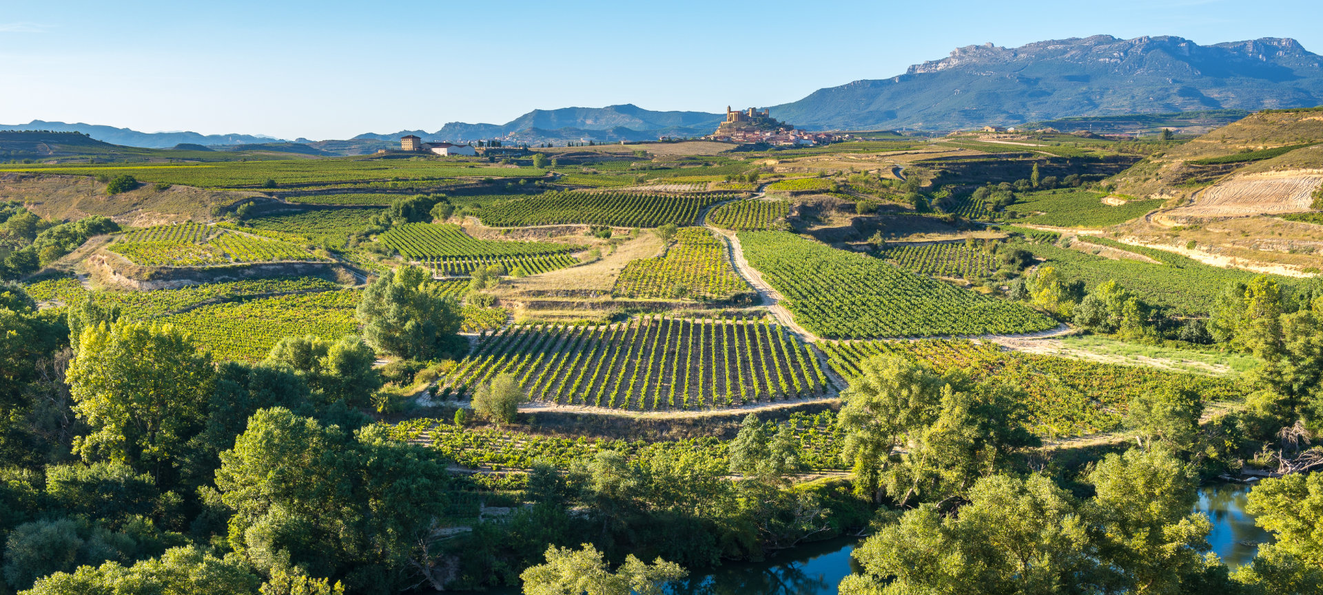 Blick auf die Weingärten in San Vicente de la Sonsierra, La Rioja Blick auf die Weingärten in San Vicente de la Sonsierra, La Rioja