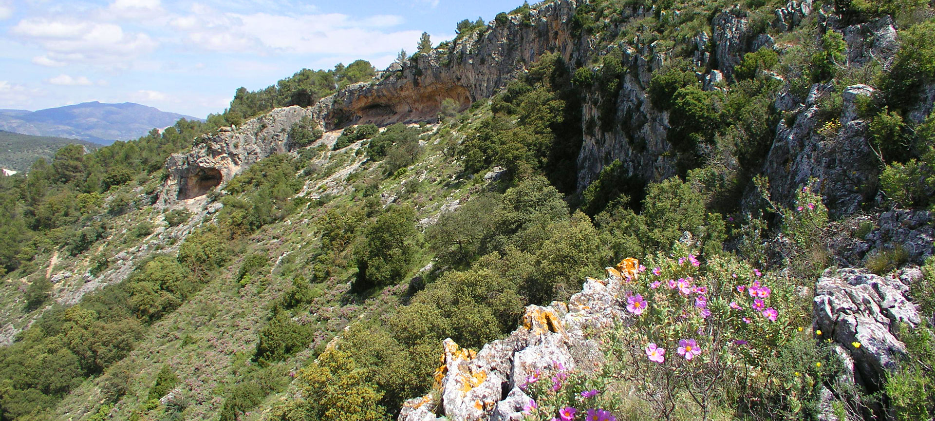ラ・サルガ（第二洞穴）の全景。アリカンテ。