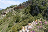 Vista geral de La Sarga (Abrics II). Alicante.