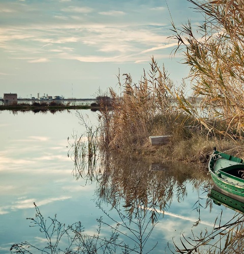 View of La Albufera, Valencia