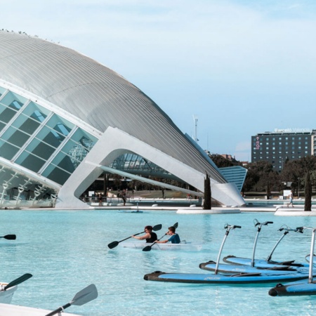 Cité des arts et des sciences de Valence (région de Valence)