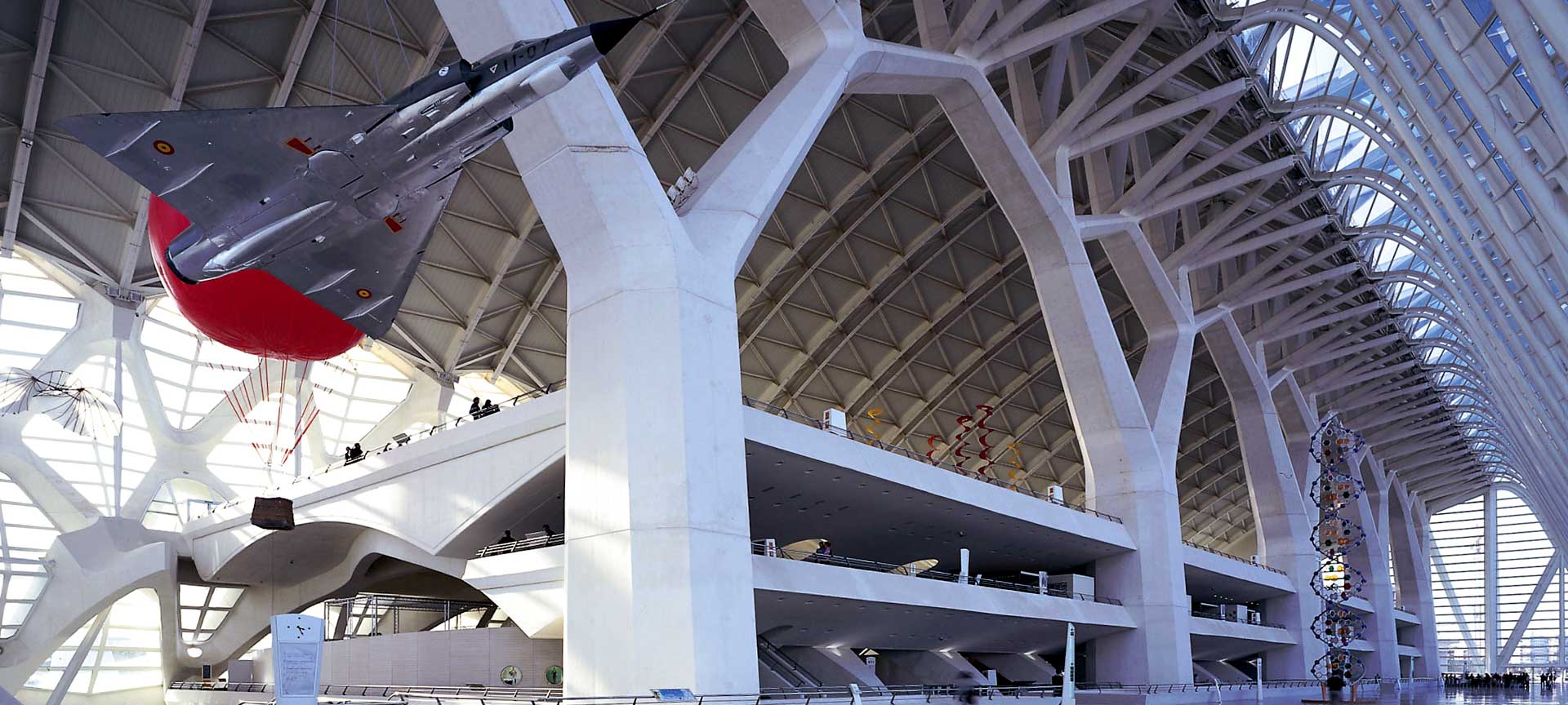 Museo delle Scienze Museo delle Scienze