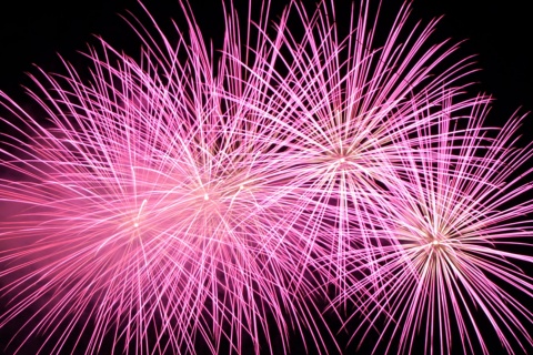 Feux d'artifice. Fête Nit de l’Albà à Elche, province d'Alicante