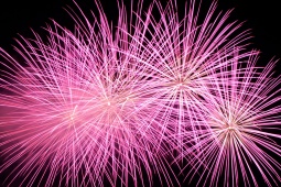 Feux d'artifice. Fête Nit de l’Albà à Elche, province d'Alicante