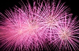 Fogos de artifício. Festa Nit de l'Albà em Elche, Alicante