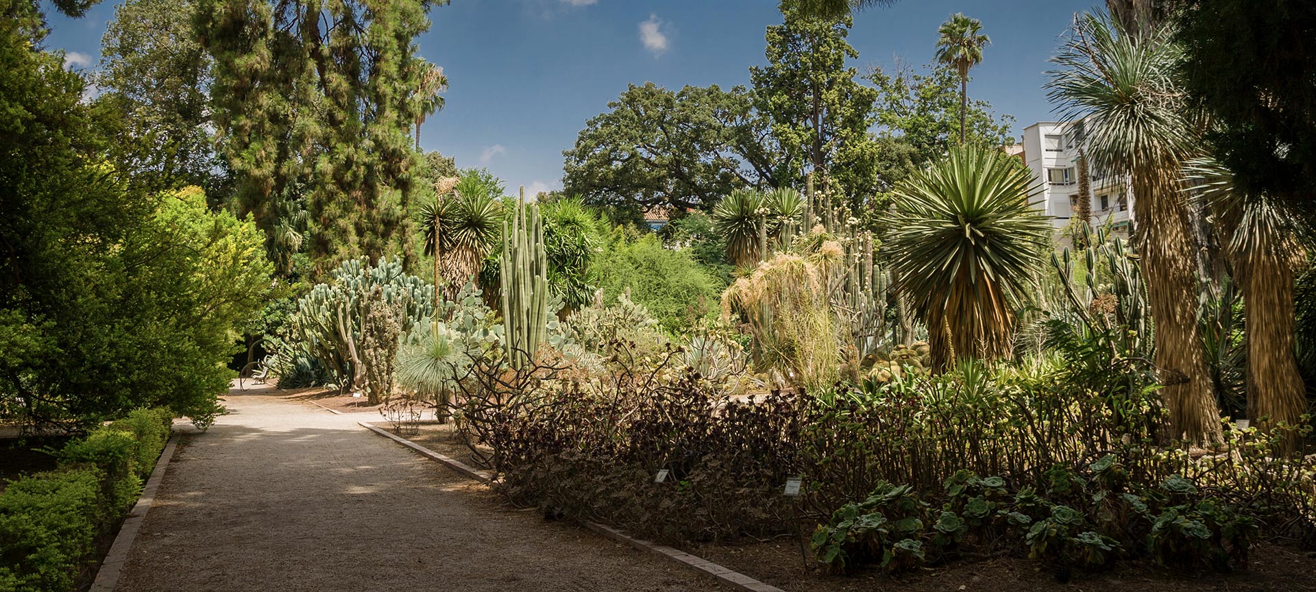 Jardin botanique de l'université de Valence Jardin botanique de l'université de Valence
