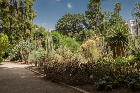 Valencia University Botanical Garden