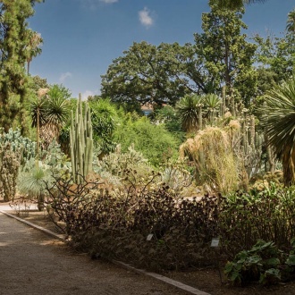 Valencia University Botanical Garden