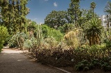 Botanischer Garten der Universität Valencia