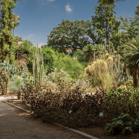Ботанический сад Валенсийского университета