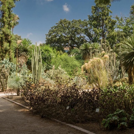 Jardin botanique de l