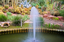 Ogród El Huerto del Cura