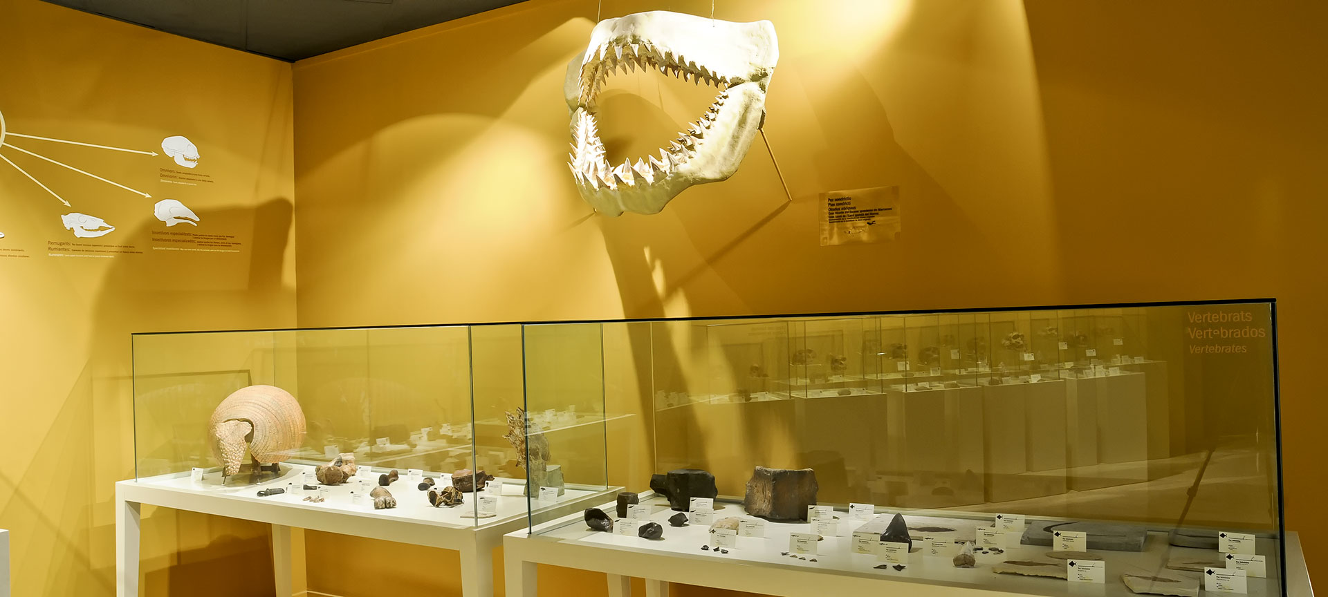 Musée archéologique et d’histoire d’Elche Musée archéologique et d’histoire d’Elche