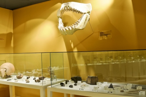 Muzeum archeologiczno-historyczne w Elche