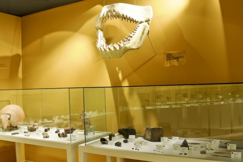 Archaeological and History Museum of Elche