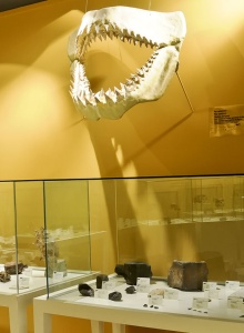 Museo Arqueológico y de Historia de Elche (MAHE)