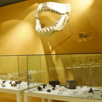 Archaeological and History Museum of Elche