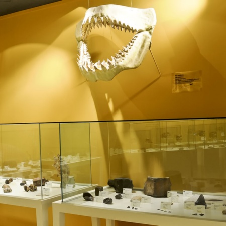 Musée archéologique et d’histoire d’Elche