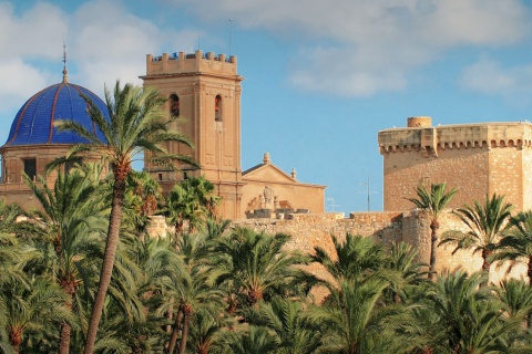 View of the palm grove in Elche with the Basilica de Santa María in the background. Alicante