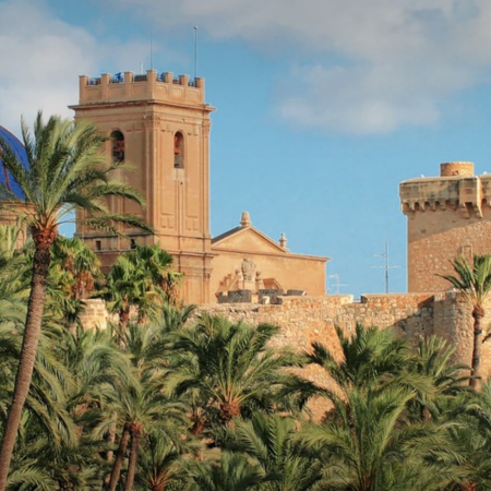 View of the palm grove in Elche with the Basilica de Santa María in the background. Alicante