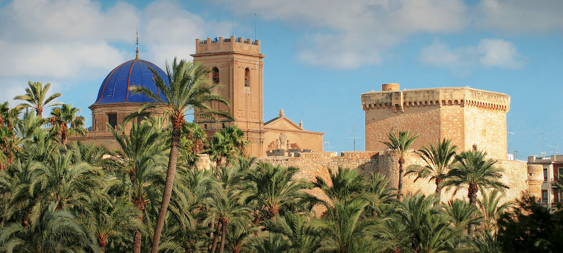 Der Palmenhain von Elche mit der Basilika Santa María im Hintergrund. Alicante