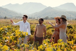 Alicante Wine Route