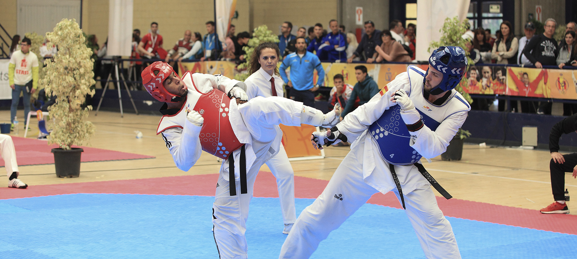 Taekwon-Do. Alicante Taekwon-Do. Alicante