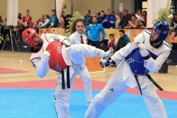 Taekwon-Do. Alicante