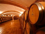 Barriques de vin dans une cave