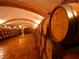 Botti di vino in cantina