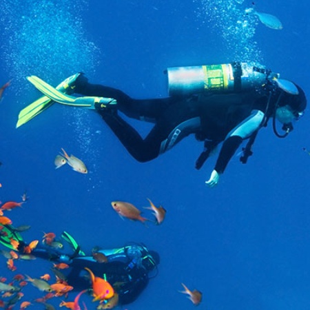 Personne faisant de la plongée sous-marine