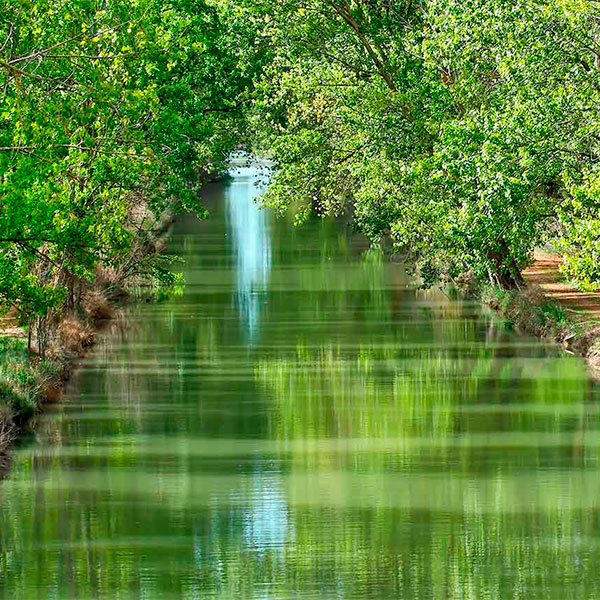 The Canal de Castilla on its course through Medina de Rioseco, Valladolid