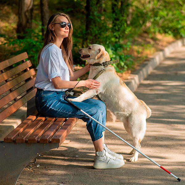 Accessibilité dans la nature