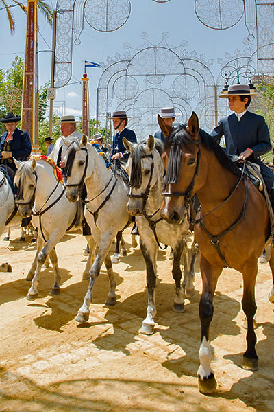 Foire du cheval à Jerez de la Frontera Foire du cheval à Jerez de la Frontera
