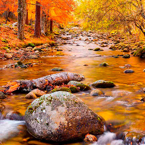 Nationalpark Sierra Cebollera, La Rioja Nationalpark Sierra Cebollera, La Rioja